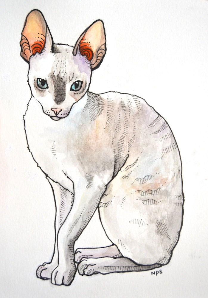 Illustration of a white cat with orange tufted ears on a light background