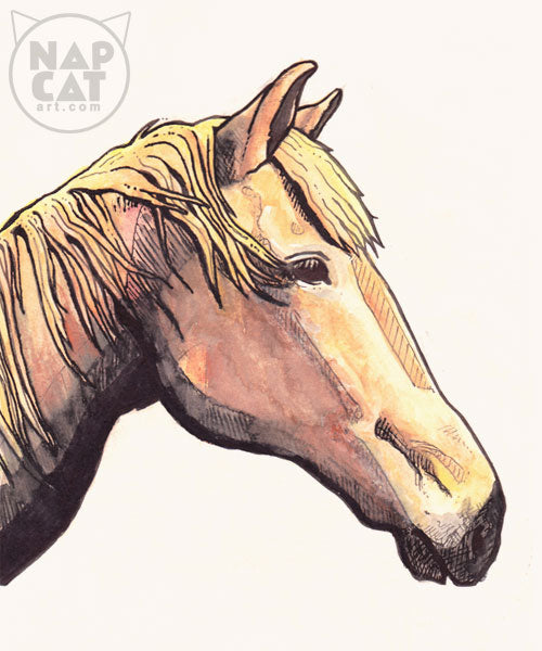 Ink & Watercolour Pet Portrait