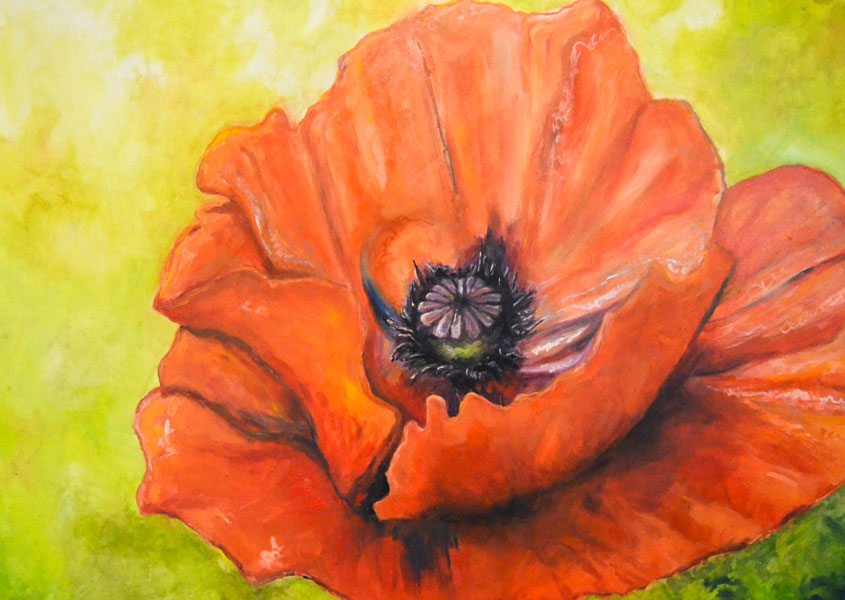 Oil painting of a poppy flower