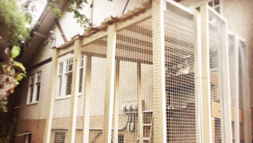 Image of Completed Catio Project